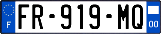FR-919-MQ