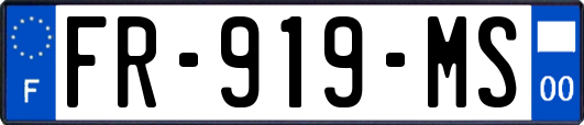 FR-919-MS