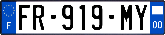 FR-919-MY