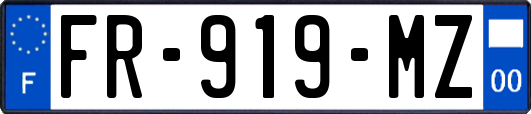 FR-919-MZ