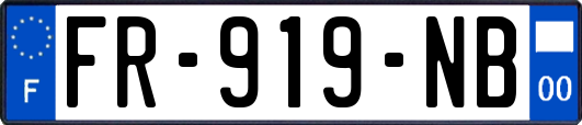 FR-919-NB