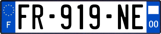 FR-919-NE
