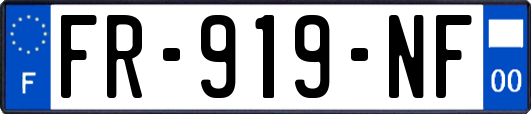 FR-919-NF