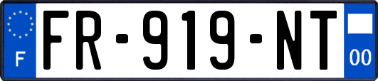 FR-919-NT