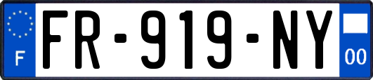 FR-919-NY