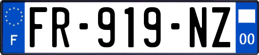 FR-919-NZ