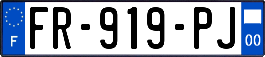 FR-919-PJ