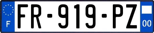 FR-919-PZ