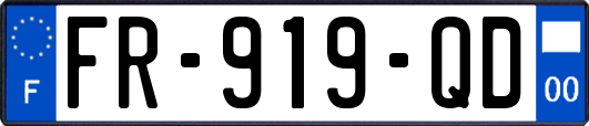 FR-919-QD