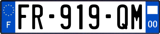 FR-919-QM