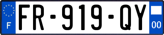 FR-919-QY