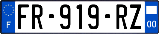 FR-919-RZ