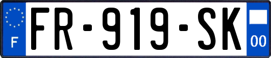FR-919-SK