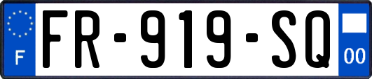 FR-919-SQ