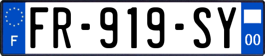 FR-919-SY