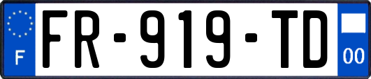 FR-919-TD