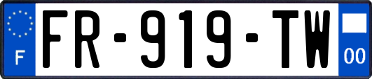 FR-919-TW