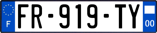 FR-919-TY