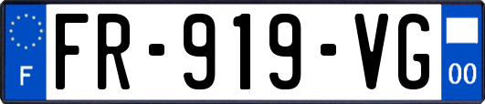 FR-919-VG