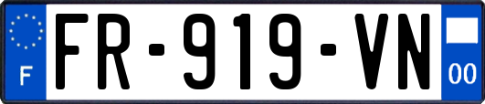 FR-919-VN