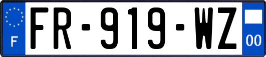FR-919-WZ
