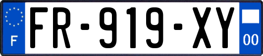 FR-919-XY