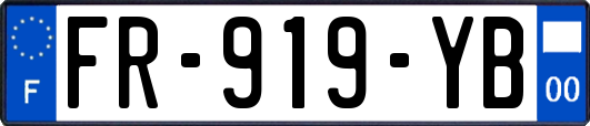FR-919-YB