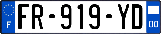 FR-919-YD
