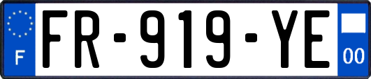 FR-919-YE