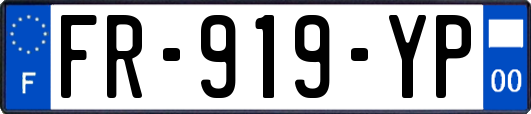 FR-919-YP