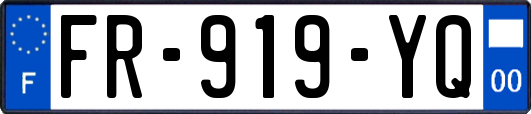 FR-919-YQ