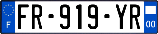 FR-919-YR