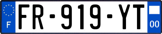 FR-919-YT