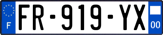 FR-919-YX