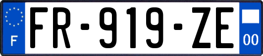 FR-919-ZE