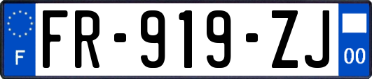 FR-919-ZJ