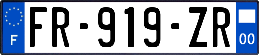 FR-919-ZR