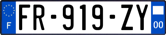 FR-919-ZY