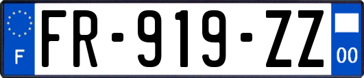 FR-919-ZZ