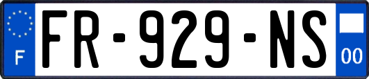 FR-929-NS
