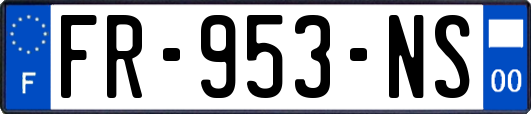 FR-953-NS