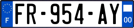 FR-954-AY