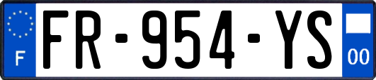 FR-954-YS
