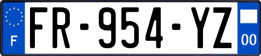 FR-954-YZ