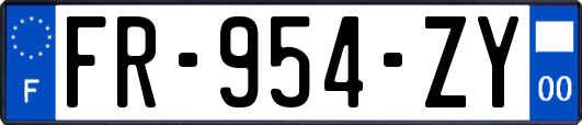 FR-954-ZY