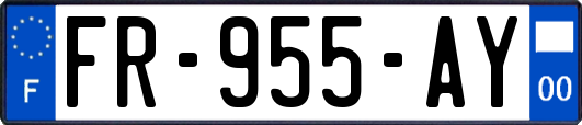 FR-955-AY
