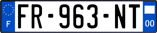 FR-963-NT