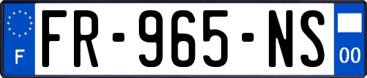 FR-965-NS