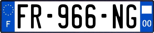 FR-966-NG