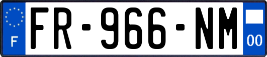 FR-966-NM
